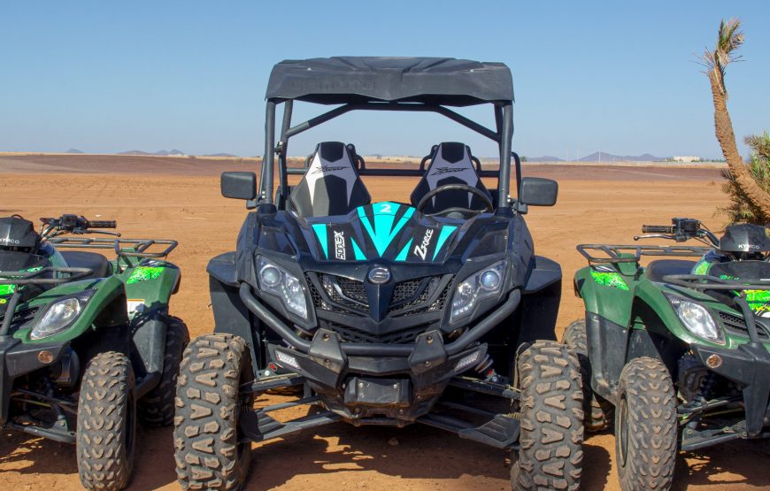 Buggy Lineup