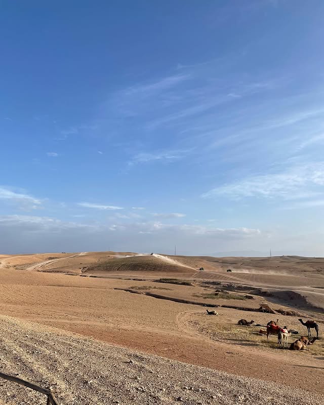 Desert Vastness