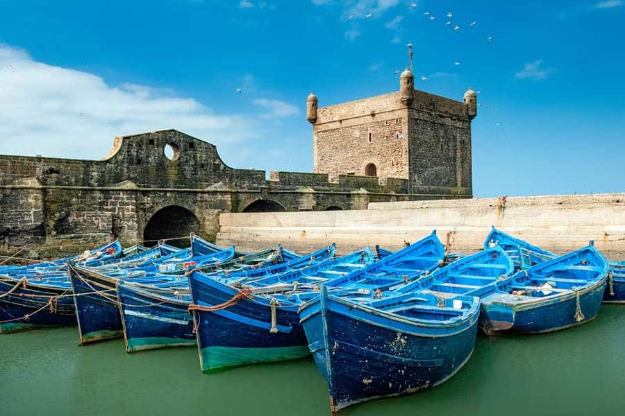 Essaouira Port Experience